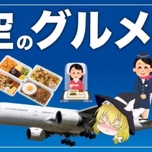 【ゆっくり解説】機内食の通販が人気！すぐに売り切れる件について 空のグルメ！