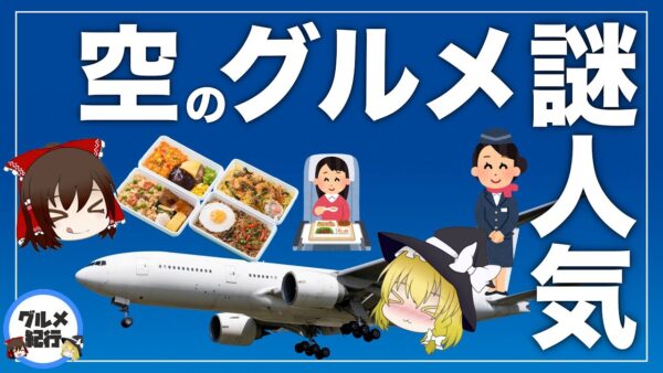 【ゆっくり解説】機内食の通販が人気！すぐに売り切れる件について 空のグルメ！