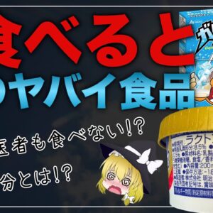 【ゆっくり解説】アイスクリームを毎日食べるとヤバイ事に？医者が食べない理由について