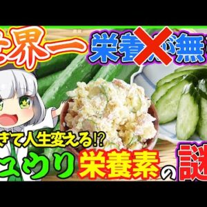 【ゆっくり解説】きゅうりが世界一番栄養価の低い野菜って本当？むしろ超健康的！！