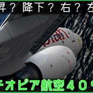 【ゆっくり解説】 ＃93 アルマビア航空967便墜落事故