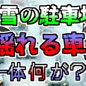 【1984年】大雪で立ち往生した車で寝ていた男性 しかし、翌朝になっても起きる気配がなく...【ゆっくり解説】
