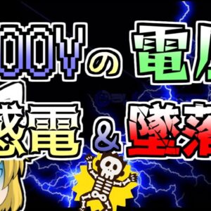 【2003年】6600vの高圧電流施設で感電し、屋上から落下してしまった作業員...【ゆっくり解説】