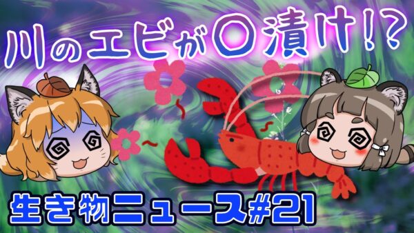 【ゆっくり解説】ザリガニが○漬けで大胆に！？水族館の魚がうつ状態に…新発見のお寿司のサーモン？【生き物ニュース#21】