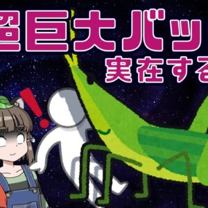 【ゆっくり解説】30センチ！？噂の超巨大バッタは実在するのか～巨大昆虫の都市伝説に迫る～