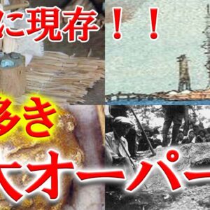 日本に現存する謎多き4大オーパーツ【ゆっくり解説】