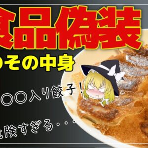 【ゆっくり解説】中国のやばい偽装食品5選 中国産食品の闇について