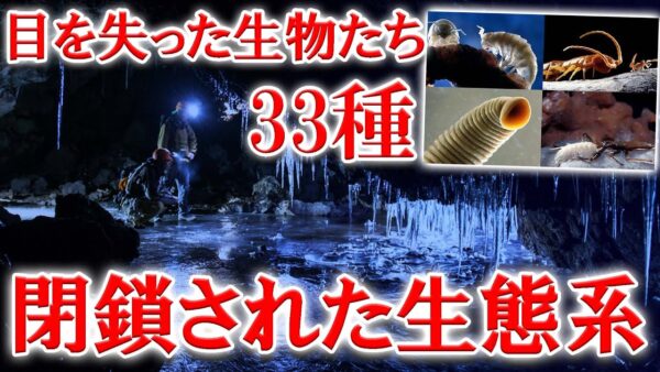 550万年も封印されていた「モビル洞窟」そこには異次元の世界が広がっていた【ゆっくり解説】