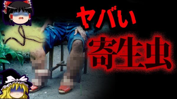 【ゆっくり解説】最悪すぎる...人間を蝕む寄生虫7選