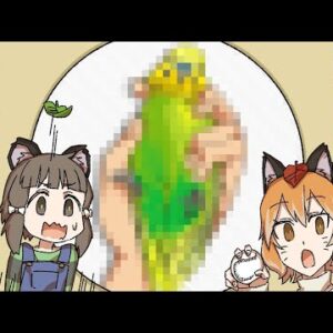 【漫画】あの生き物の正しい持ち方7選【マンガ動画／ゆっくり解説】