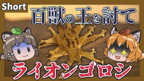 【#Shorts】百獣の王を狙い討て！ライオンゴロシ【へんないきものS#02/ゆっくり解説】