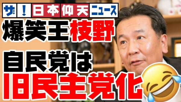ザ・日本仰天ニュース！立憲民主党枝野幸男、今年の爆笑アワードをかっさらった模様【ゆっくり解説】