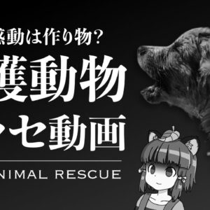 【ゆっくり解説】その感動は作り物？保護動物のヤラセ問題｜蔓延る偽のアニマルレスキュー動画