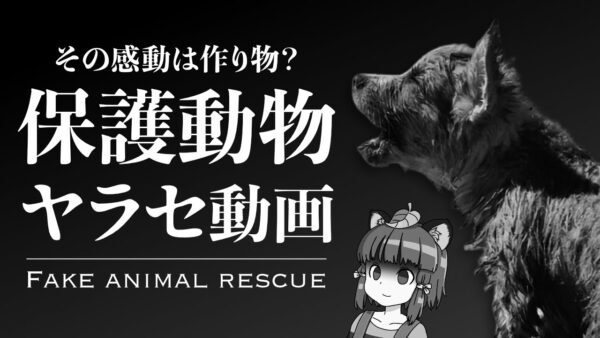 【ゆっくり解説】その感動は作り物？保護動物のヤラセ問題｜蔓延る偽のアニマルレスキュー動画