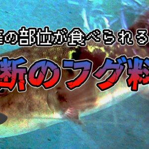 【ゆっくり解説】猛毒な部位が食べられる！？禁断のフグ料理の謎