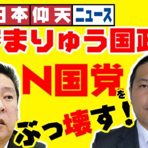 ザ・日本仰天ニュース！へずまりゅう、まさかの国政立候補【ゆっくり解説】
