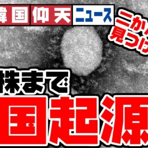 ザ・韓国仰天ニュース！変異株も韓国起源！２か月前に見つけたのに報告も何もせず！【ゆっくり解説】