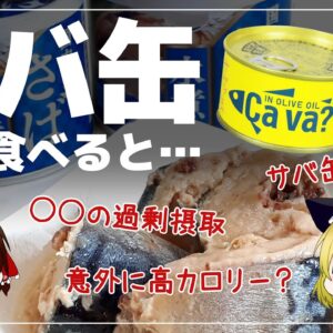 【ゆっくり解説】サバ缶を毎日食べるとヤバイことに！？危険な成分について