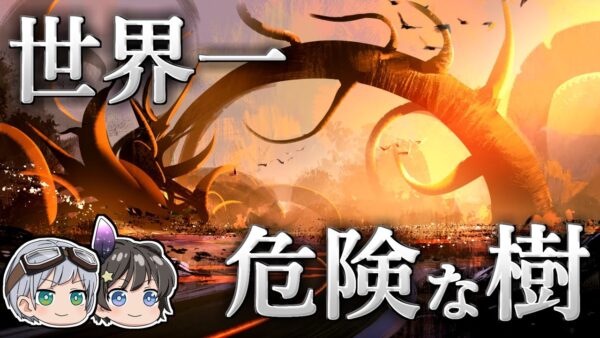 【ゆっくり解説】近づくことも許されない世界で最も危険な樹－マンチニール－