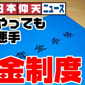 ザ・日本仰天ニュース！年金に公的資金注入は正解なのか？【ゆっくり解説】