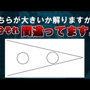 【ゆっくり解説】どちらが大きいか解りますか？多分それ間違ってますよ。