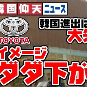 ザ・韓国仰天ニュース！マクドナルドにトヨタ、外資系のイメージ下げまくり【ゆっくり解説】