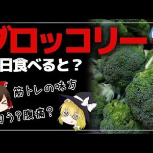 【ゆっくり解説】ブロッコリーを毎日食べたら体に異変が！筋トレ民に人気の食材の闇について