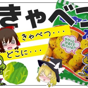 【ゆっくり解説】どこがキャベツ？意外に知らないキャベツ太郎の秘密について