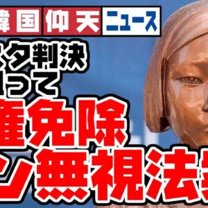 ザ・韓国仰天ニュース！ダブスタ司法を修正しようとした結果【ゆっくり解説】