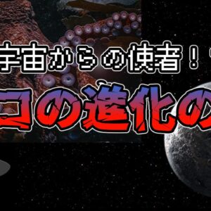 【ゆっくり解説】宇宙からの使者！？タコの進化の謎