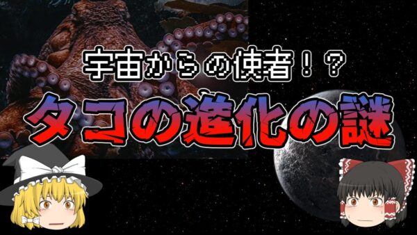 【ゆっくり解説】宇宙からの使者！？タコの進化の謎