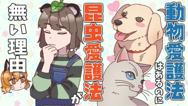 【漫画】”昆虫愛護法”がないのはどうして？【マンガ動画／ゆっくり解説】