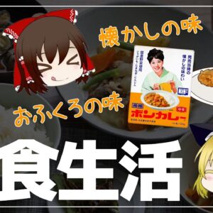 【ゆっくり解説】昭和の食生活について 庶民が愛した懐かしいグルメの歴史