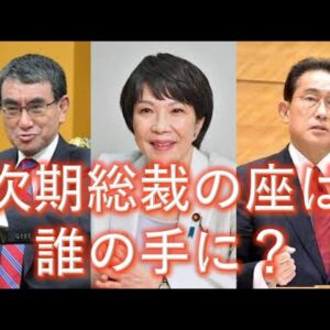 【ゆっくり解説】自民党総裁選は今後どうなる？候補者を紹介！