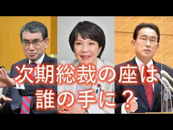 【ゆっくり解説】自民党総裁選は今後どうなる？候補者を紹介！