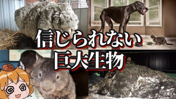 【ゆっくり解説】信じられないサイズの巨大生物10選