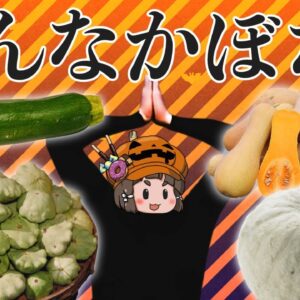 【ゆっくり解説】変なカボチャの品種10選