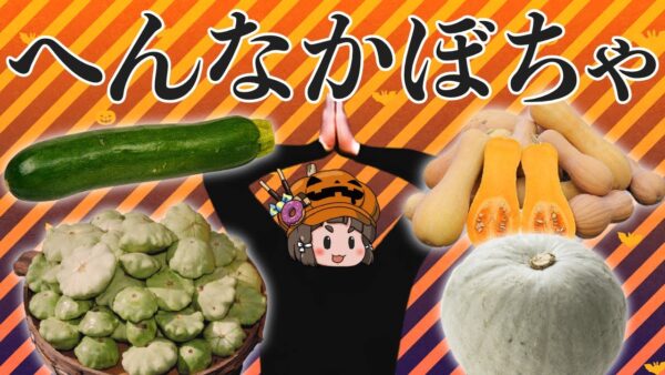 【ゆっくり解説】変なカボチャの品種10選