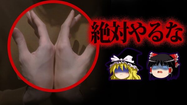 【ゆっくり解説】遊びじゃすまない。取り返しのつかないヤバい行為10選 - Part2