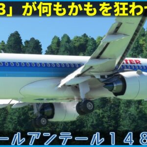 【ゆっくり解説】#122 Re:エールアンテール148便墜落事故