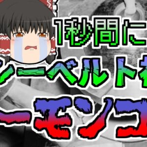 【1946年】友人の悲劇を見た科学者は 彼と同じ実験を行うことに...プルトニウム臨界実験「デーモンコア」【ゆっくり解説】後編 　再UP版