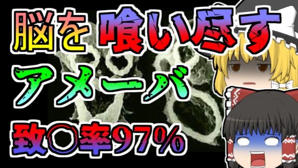 【1965年～】自然の温水に潜む脳を喰い尽くすアメーバ...【ゆっくり解説】