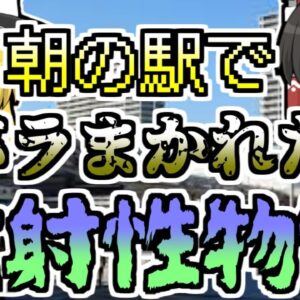 【2000年】白衣を着た男が、駅で突然放射性物質をばらまき...【ゆっくり解説】