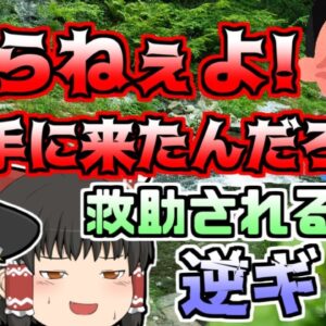 【2000年】「勝手に助けに来たんだろ！」中州から救助された少年たち。しかし、彼らは逆に周囲に怒りをぶつけ...『藁科川水難騒動』【ゆっくり解説】