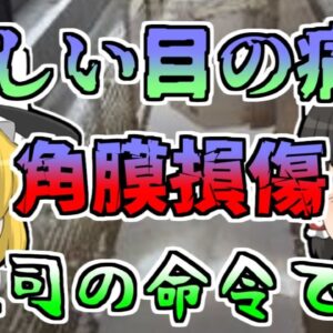 【2000年】香料の原料があふれ出し、慌てて対処するも右目が...【ゆっくり解説】