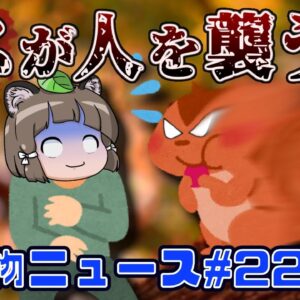 【ゆっくり解説】凶暴化したリスが人間を襲う！神秘的な四つ目のカモシカ？人間の命を救った地雷撤去ネズミ【生き物ニュース#22】