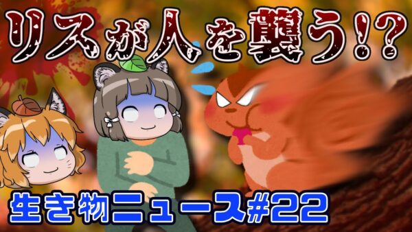 【ゆっくり解説】凶暴化したリスが人間を襲う！神秘的な四つ目のカモシカ？人間の命を救った地雷撤去ネズミ【生き物ニュース#22】