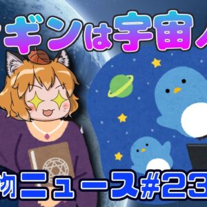 【ゆっくり解説】ペンギンは金星から来た宇宙人！？地球でハチと宇宙戦争？生活様式の変化で幸せなペットが増えた【生き物ニュース#23】