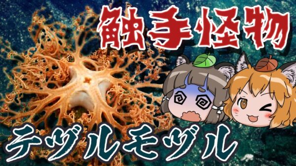 【ゆっくり解説】触手の怪物！？テヅルモヅル【へんないきもの#71】