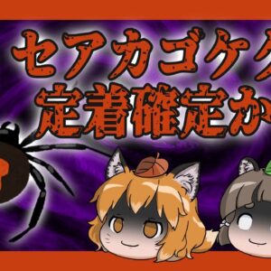 【#Shorts】ついにセアカゴケグモもほぼ全国に定着か…【ゆっくり解説】
